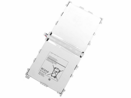 Sostituzione batteria tablet SAMSUNG OEM  per T9500E 